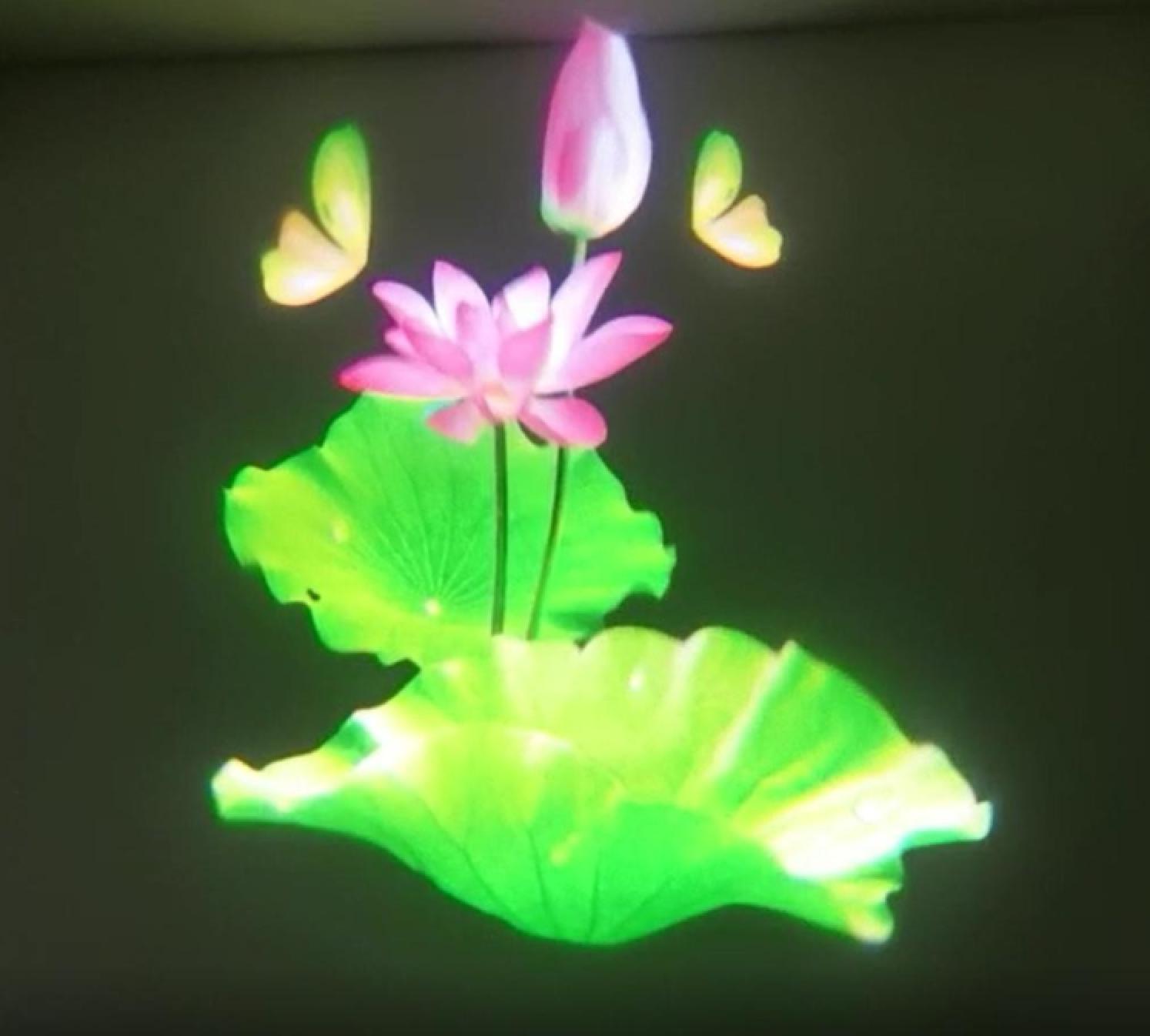 夢(mèng)幻水影