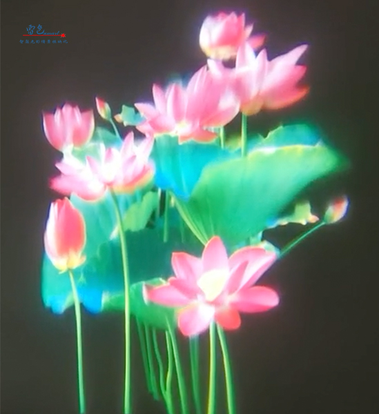 雷色光電｜LED·夢(mèng)幻水影燈/LS-SY100～LS-SY600(圖3)