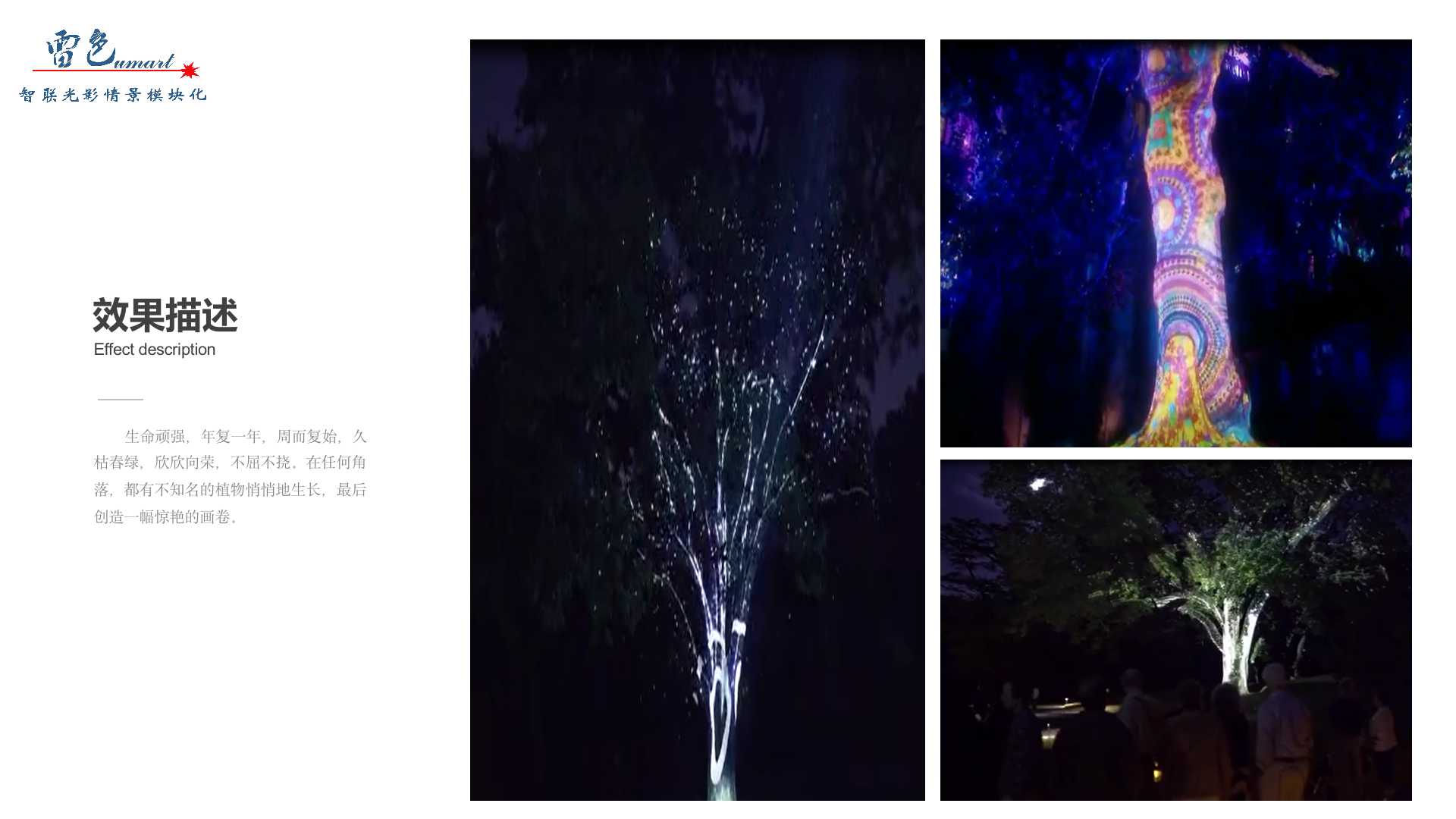 植物生長(zhǎng)(圖4)